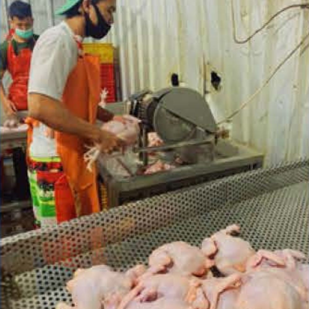 Pemotongan Kepala & Ceker