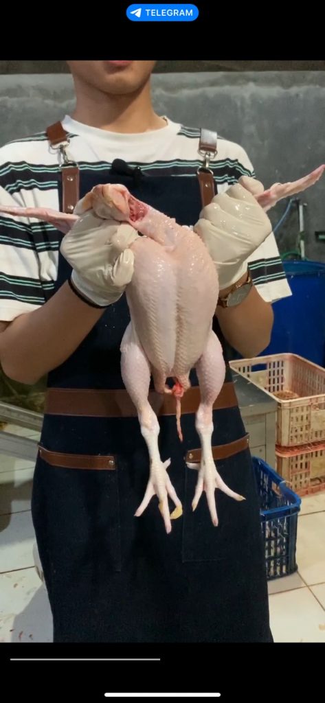 Ayam Palcek